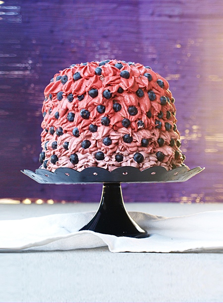 Blueberry Cake Blueberry Cake